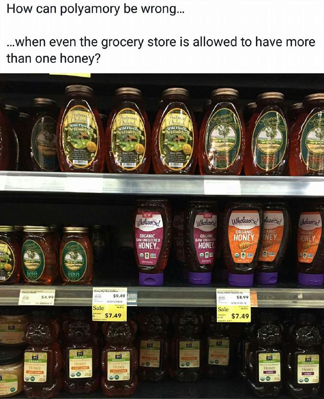 a picture of 3 full shelves of honey at the grocery store (dozens of varieties). Text reads: How can polyamory be wrong... ...when even the grocery store is allowed to have more than one honey?