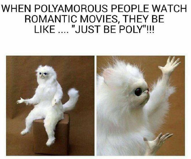 A picture of a strange white furry creature (possibly a cat-monkey hybrid) with its hand emphatically raised in the air. Text over the top reads: When polyamorous people watch romantic movies, they be like... &quot;Just be poly!!!&quot;