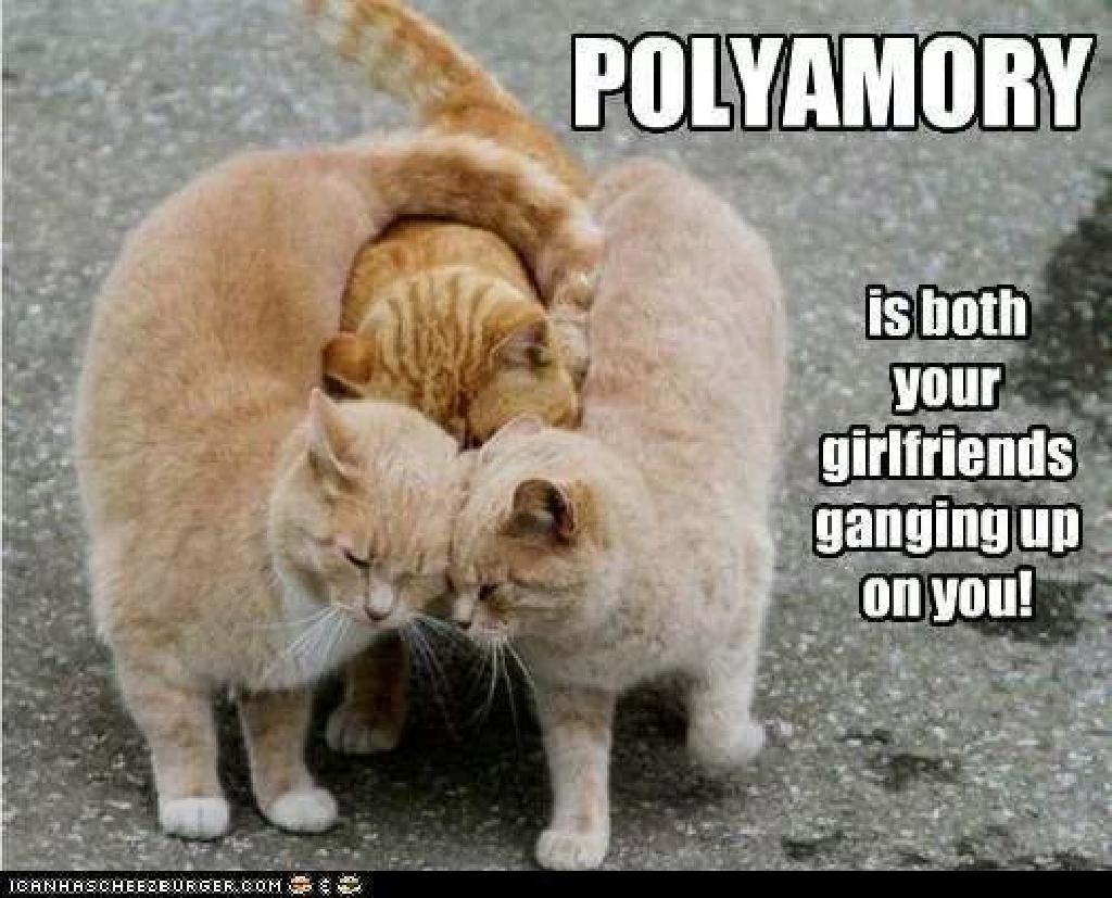 Our Top 10 Favorite Polyamory Memes of All Time · Poly.Land