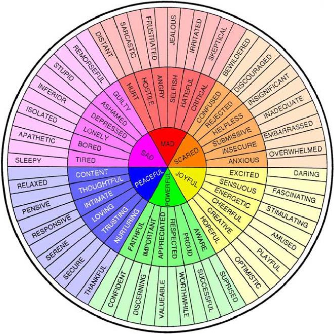 it's a rainbow colored wheel of feelings